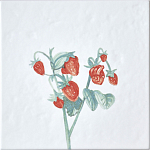 Плитка с узором Земляника варинант исполнения - 2 | Loft Concept в Грозном