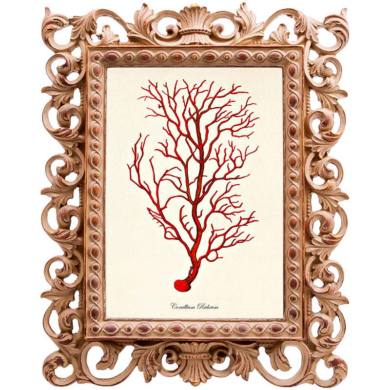 Постер Red Coral Poster 4 Бежевый Красный Постер Red Coral Poster 4 Бежевый Красный в Грозном | Loft Concept