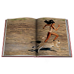 Лимитированная подарочная большая книга CARTIER Panthère варинант исполнения - 12 | Loft Concept в Грозном