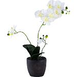 Декоративный искусственное растение Angel Orchid варинант исполнения - 1 | Loft Concept в Грозном
