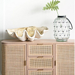 Блюдо декоративное в виде ракушки Seashell варинант исполнения - 1 | Loft Concept в Грозном