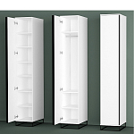 Шкаф-пенал белый с зеркальной дверцей Strict Lines варинант исполнения - 5 | Loft Concept в Грозном