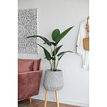 Декоративный искусственное растение Decor Stile  варинант исполнения - 6 | Loft Concept в Грозном