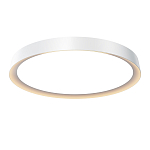 Потолочный светильник Incognito 2700-4000К 46Вт варинант исполнения - 1 | Loft Concept в Грозном