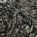 Панно «Чёрный лебедь» варинант исполнения - 3 | Loft Concept в Грозном