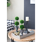 Декоративный искусственное растение Double boxwood варинант исполнения - 8 | Loft Concept в Грозном