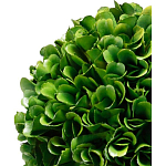 Декоративный искусственное растение Single boxwood варинант исполнения - 2 | Loft Concept в Грозном