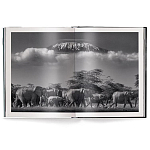 Книга Beusker. Look into my Eyes варинант исполнения - 2 | Loft Concept в Грозном