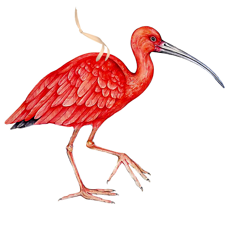 Арт-объект Scarlet Ibis Красный Арт-объект Scarlet Ibis Красный в Грозном | Loft Concept