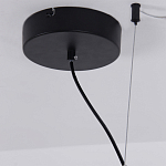 Люстра подвесная светодиодная черный металл Ring Horizontal варинант исполнения - 13 | Loft Concept в Грозном