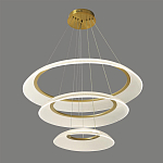 Люстра подвесная с 3-мя кольцевыми светодиодными лампами Catcher варинант исполнения - 1 | Loft Concept в Грозном