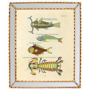 Постер в зеркальной раме Fish Guide 7