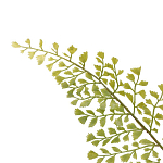 Декоративный искусственное растение Dried flower варинант исполнения - 3 | Loft Concept в Грозном