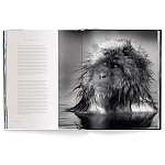 Книга Beusker. Look into my Eyes варинант исполнения - 3 | Loft Concept в Грозном