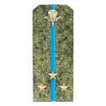 Сувенир Погон Старший Лейтенант ВДВ из натурального камня змеевик Souvenir Epaulets варинант исполнения - 1 | Loft Concept в Грозном