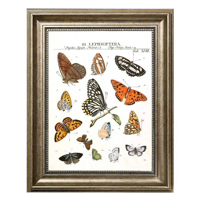 Постер Little Butterflies Постер Little Butterflies в Грозном | Loft Concept