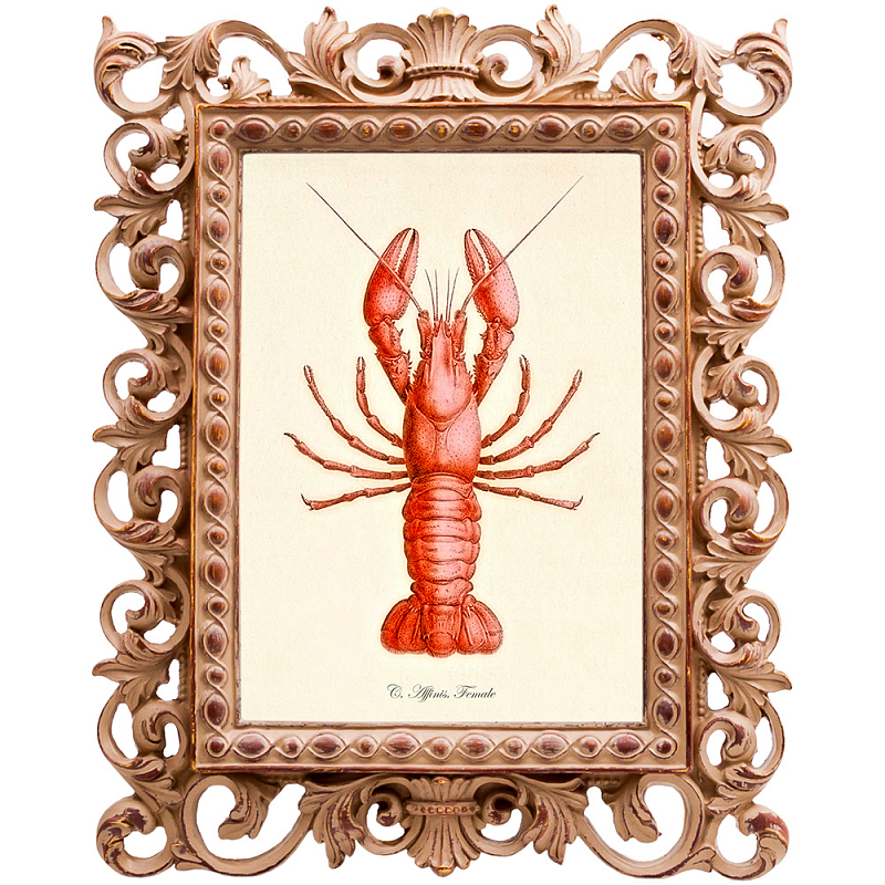 Постер Red Lobster Бежевый Красный Постер Red Lobster Бежевый Красный в Грозном | Loft Concept