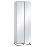 Двухдверный шкаф с зеркальными дверцами Strict Lines варинант исполнения - 5 | Loft Concept в Грозном