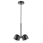 Подвесной светильник черный с 2-мя плафонами Pendant lamp Black варинант исполнения - 1 | Loft Concept в Грозном