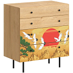 Комод с принтом на ящиках Elise Chest of Drawers варинант исполнения - 4 | Loft Concept в Грозном