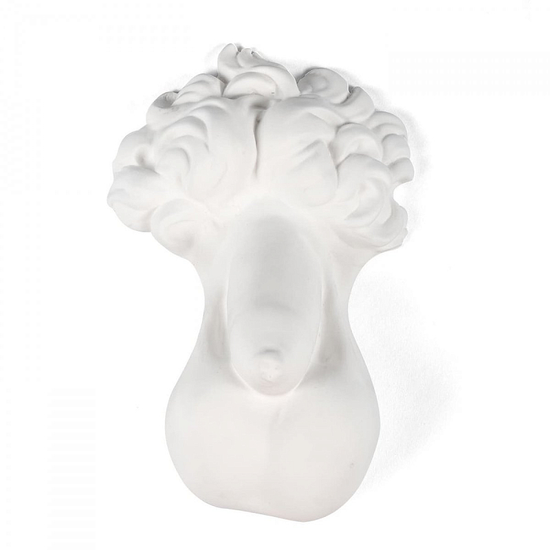 Аксессуар Seletti Memorabilia Mvsevm Penis Белый Аксессуар Seletti Memorabilia Mvsevm Penis Белый в Грозном | Loft Concept