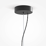 Подвесной светильник Rare grapes варинант исполнения - 4 | Loft Concept в Грозном