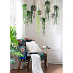 Диван Mesotrope варинант исполнения - 7 | Loft Concept в Грозном