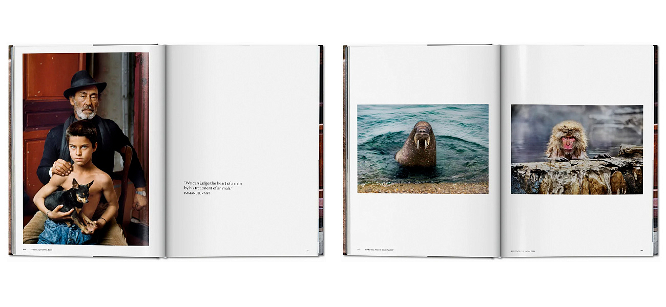 Steve McCurry. Animals Steve McCurry. Animals - Loft-Concept в Грозном