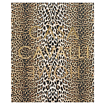 Редкое коллекционное издание Casa Cavalli Home: Celebrating the Roberto Cavalli Lifestyle Леопард варинант исполнения - 1 | Loft Concept в Грозном