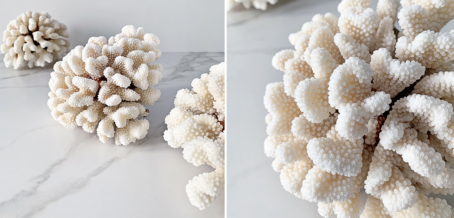 Статуэтка Brownstem Coral Статуэтка Brownstem Coral - Loft-Concept в Грозном