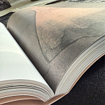 Лимитированное издание Иллюстрации модного дома Book: Dior par Mats Gustafson Vol. II Maria Grazia Chiuri варинант исполнения - 3 | Loft Concept в Грозном