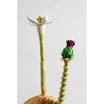 Статуэтка тропический фрукт Pandora Tropical Fruit Orange Two Flowers варинант исполнения - 2 | Loft Concept в Грозном