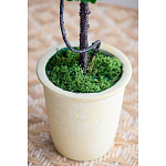 Декоративный искусственное растение Single boxwood варинант исполнения - 6 | Loft Concept в Грозном