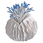 Статуэтка тропический фрукт Tropical Fruit White Blue варинант исполнения - 2 | Loft Concept в Грозном