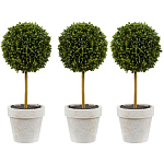 Декоративный искусственное растение Boxwood One варинант исполнения - 1 | Loft Concept в Грозном