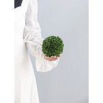 Декоративный искусственное растение Small boxwood варинант исполнения - 3 | Loft Concept в Грозном