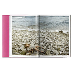 Книга Gisele Bundchen варинант исполнения - 9 | Loft Concept в Грозном