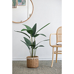 Декоративный искусственное растение Decor Stile  варинант исполнения - 5 | Loft Concept в Грозном