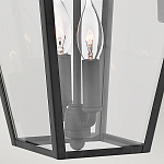 Настенный фонарь черного цвета с прозрачным стеклянным плафоном трапециевидной формы Hinkley варинант исполнения - 4 | Loft Concept в Грозном